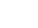 Logo Varis