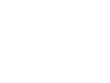 Logo Scot