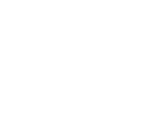 Logo SRT