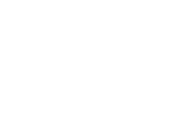 Logo Panther Airboats