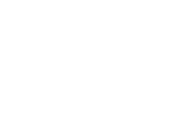 Logo Twin Vee