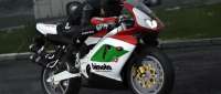 Bimota 500 V Due