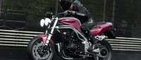 Triumph Speed Triple 955i