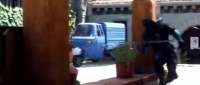 Piaggio Ape