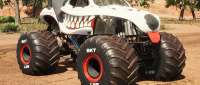 Custom Made Monster Mutt