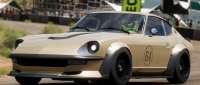 Forsberg Racing Gold Leader Z