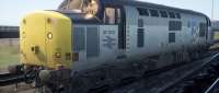 English Electric British Rail Class 37