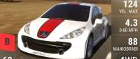 Peugeot 207 RCup