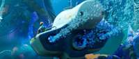Made for Game Submersible