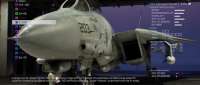 Grumman F-14D Super Tomcat