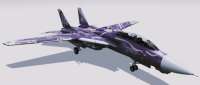 Grumman F-14D Super Tomcat