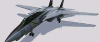 Grumman F-14D Super Tomcat