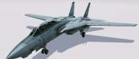 Grumman F-14D Super Tomcat