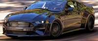 DeBerti Mustang